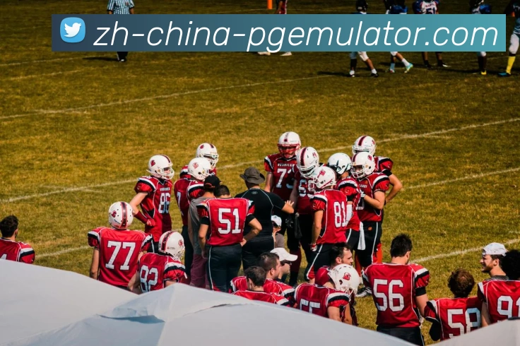 数据防护可视化